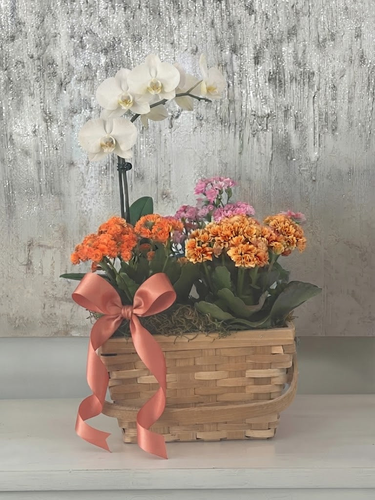 Golden Hour Celebration Basket