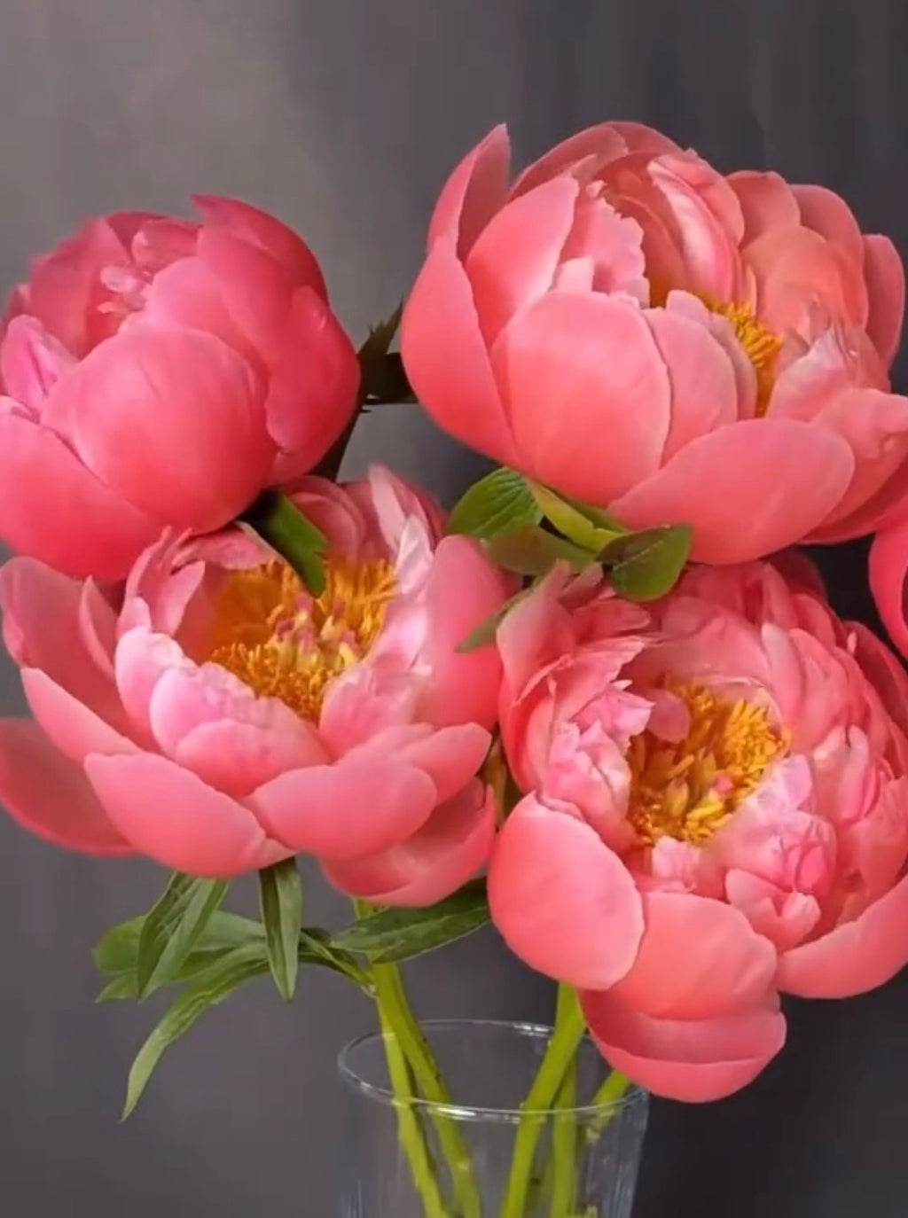 Custom Peony design￼   Please note: this image is provided for reference purposes only.