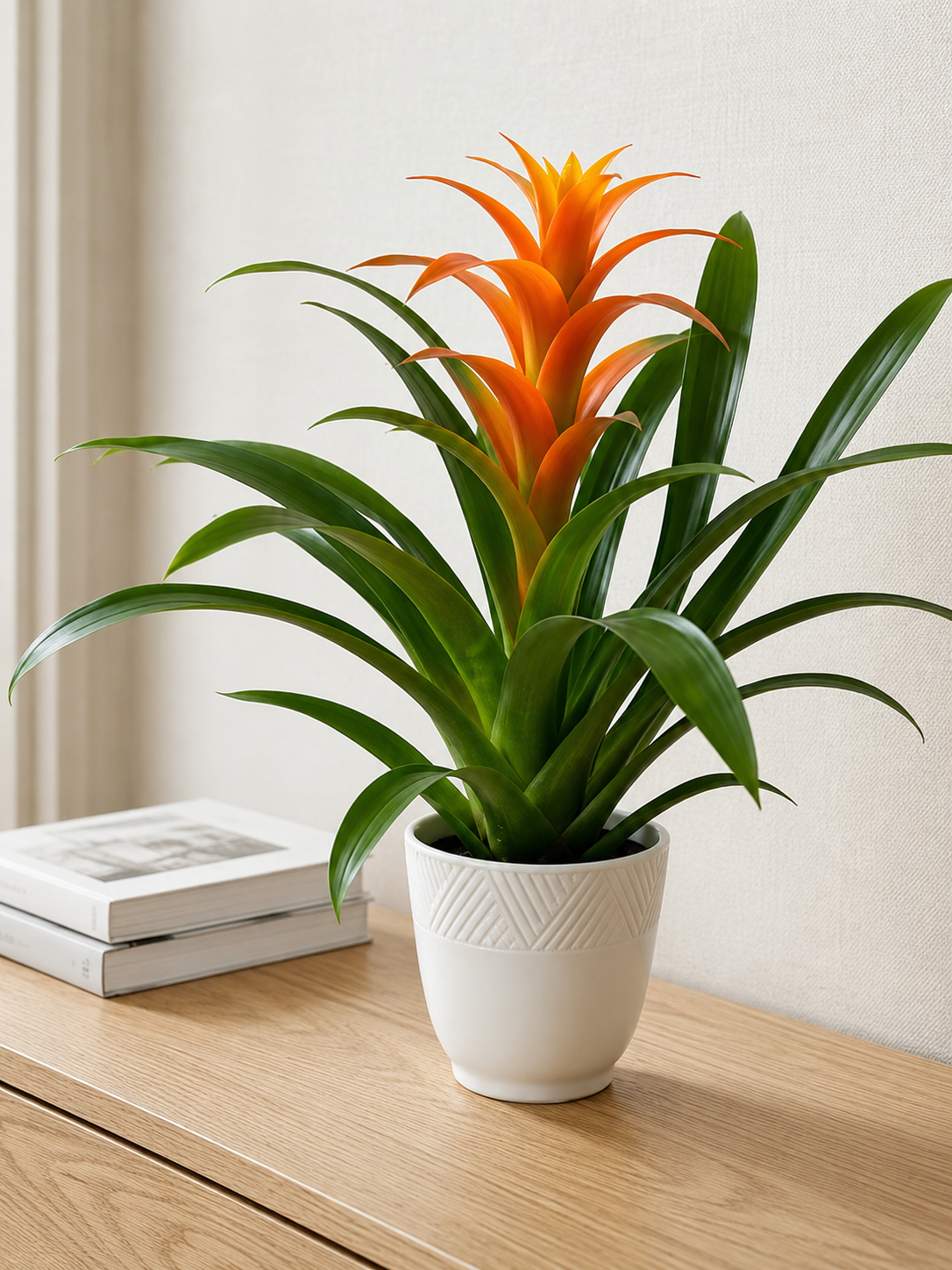 Bromeliad ( orange)