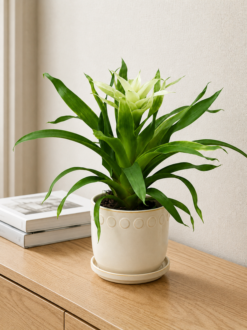 BROMELIAD (white)