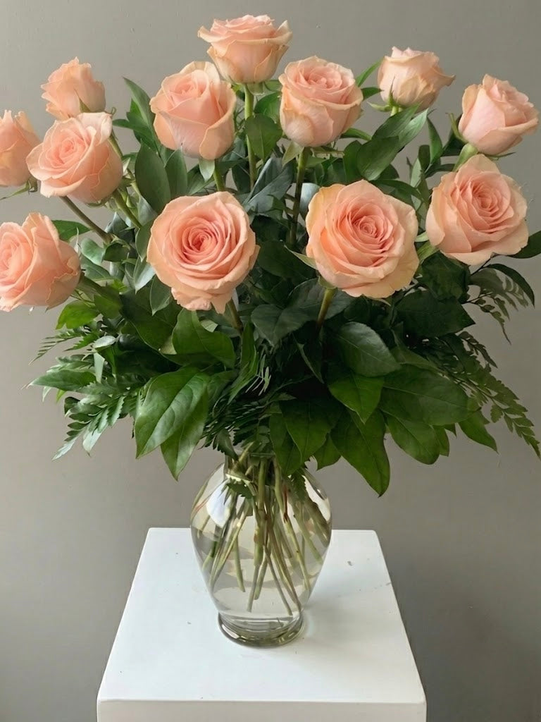 Rose Radiance