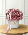 Mini sweet whisper