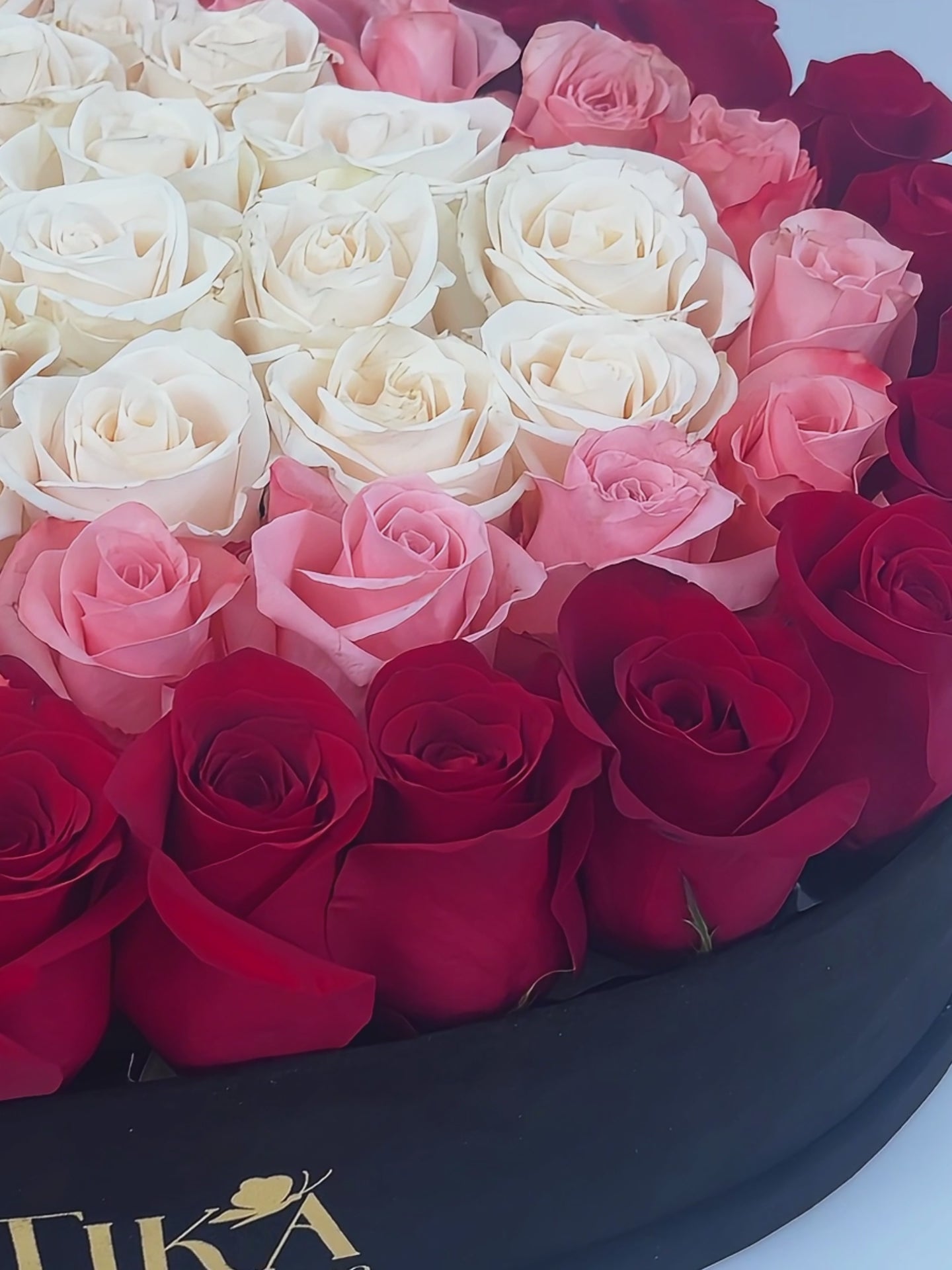 Sweet Heart Bliss heart-shaped rose box in black box – Tika Flower Studio – Phoenix AZ